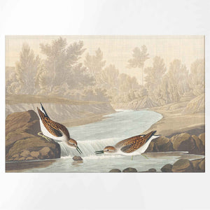 SET 6 TOVAGLIETTE LITTLE SANDPIPER